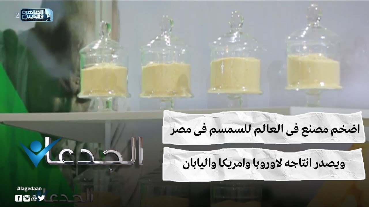 اضخم مصنع فى العالم للسمسم فى مصر .. ويصدر انتاجه لاوروبا وامريكا واليابان