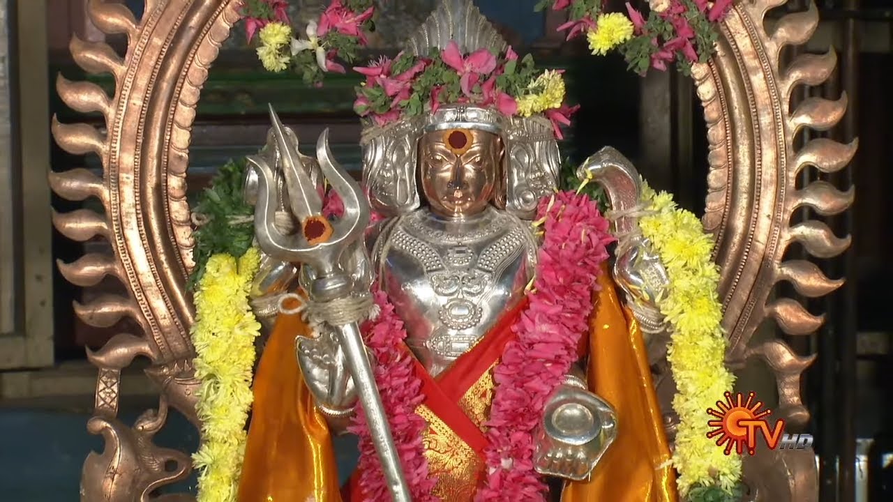 வளரொளி நாதர் வயிரவர் திருக்கோயில், வைரவன்பட்டி காரைக்குடி | ஆலய வழிபாடு | Sun TV