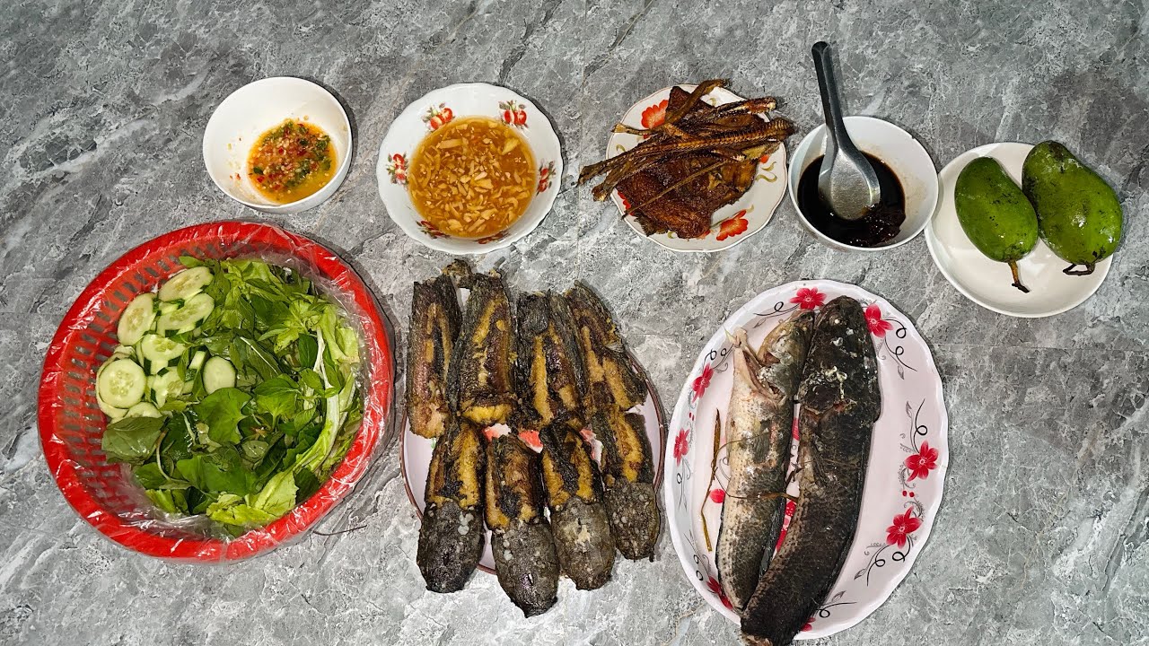 Cắm Câu Cá Mòi Nhái Mòi Trùng. Cá Lóc Nổ Muối Hột,  Cá Trê Chiên Giòn #cuocsongmientay #fishing 