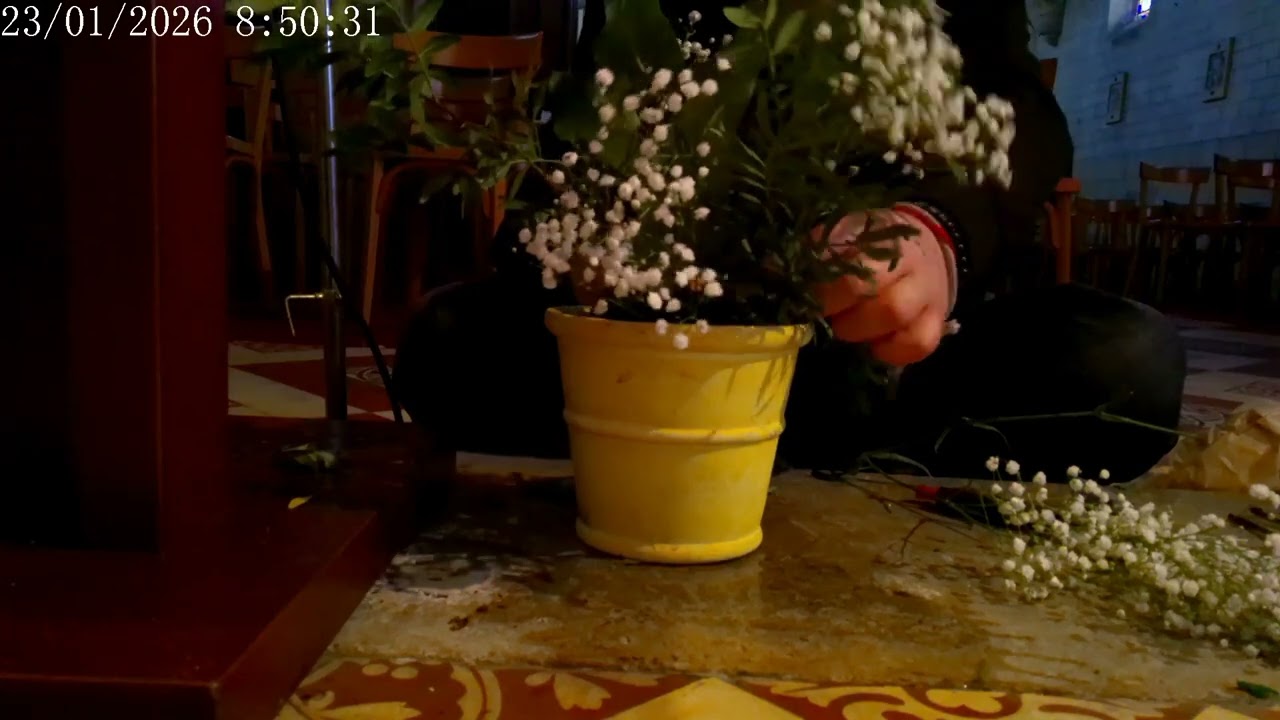 Moins de 5 minutes pour une composition florale 