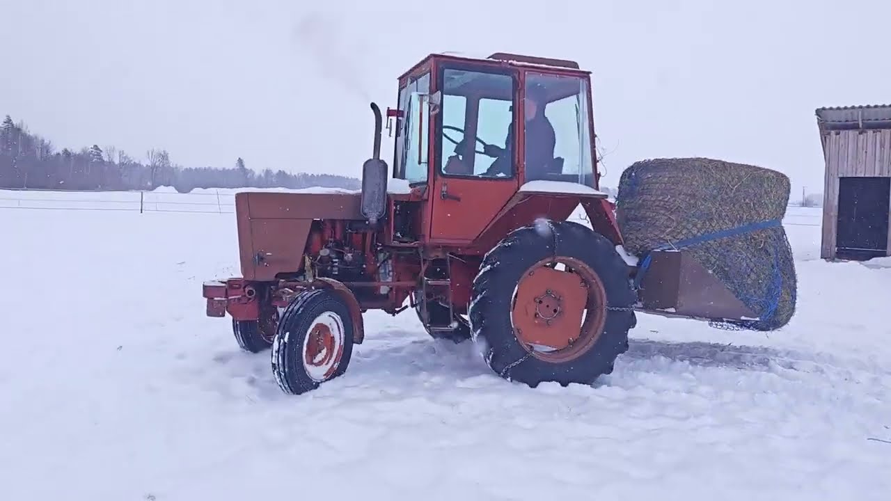 В Деревне как? И поработал и в тренажерный зал!