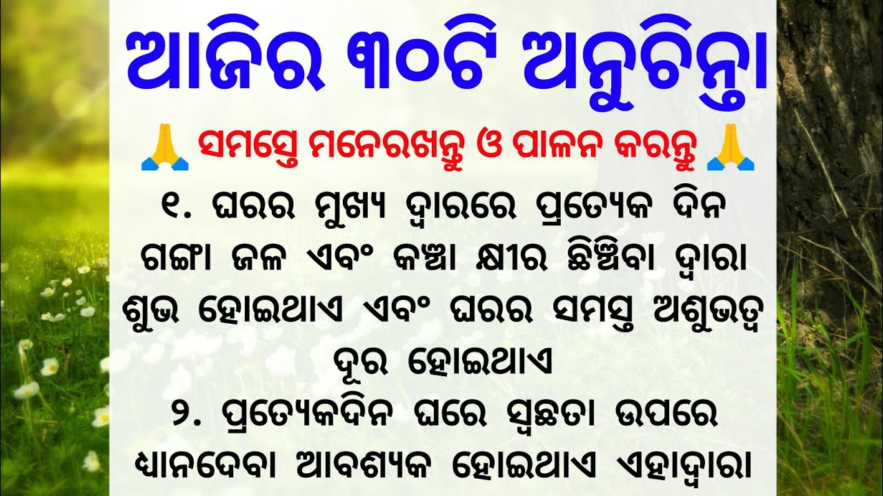 Top 30 Anuchinta | Best Lines | Quotes In Odia | Moral Video | Motivation Video | Anuchinta