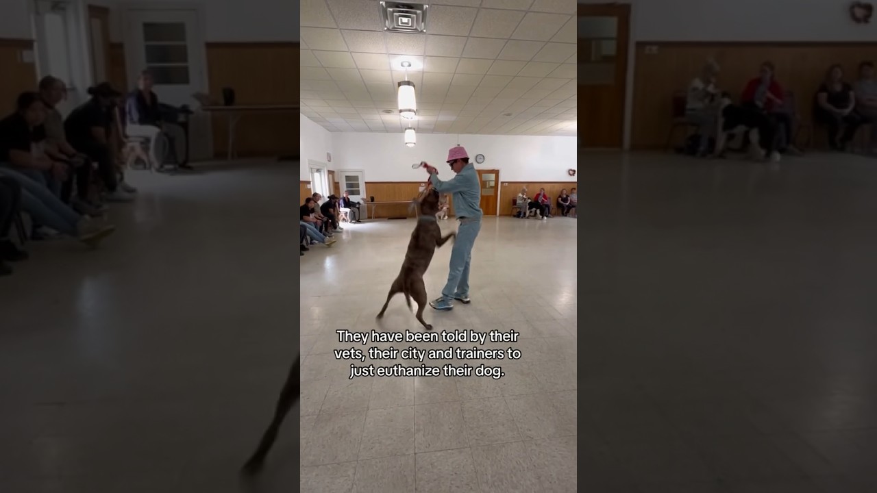This Dog Trainer Will Not Turn Down Any Dog- Aggressive Or Not.