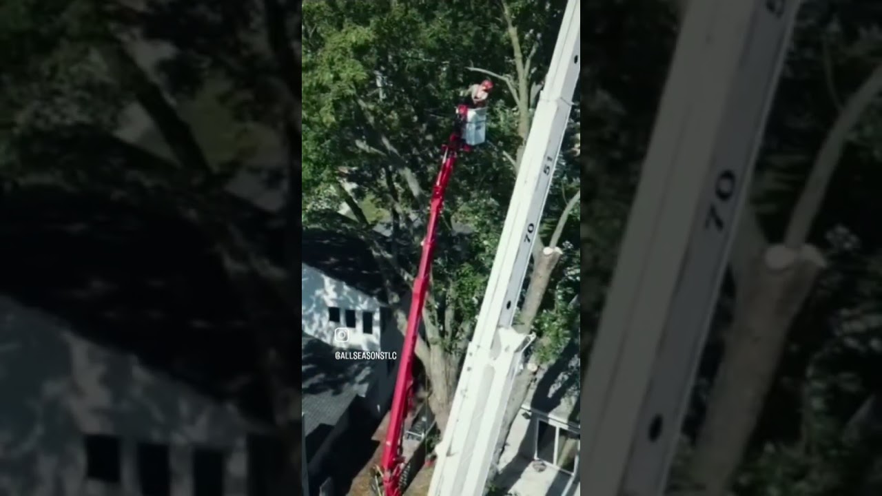 Fun with the crane and CMC lift on the lake.