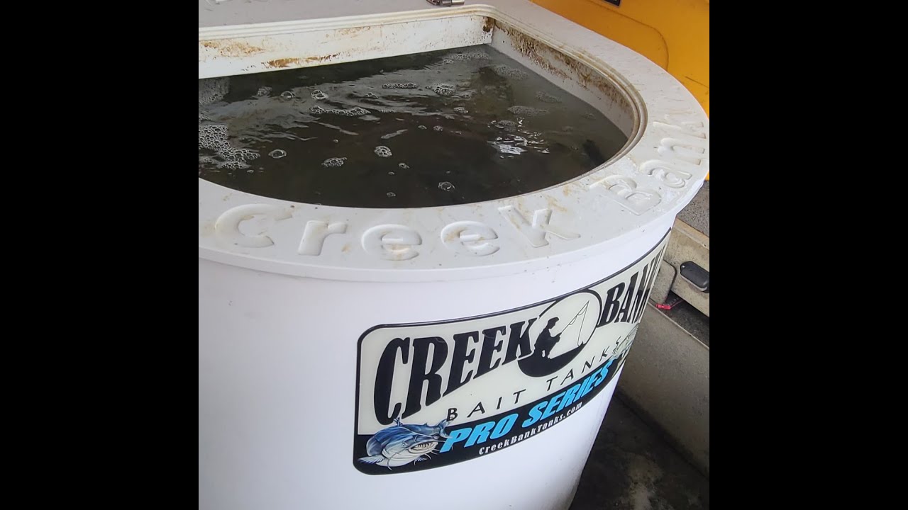 Shad Man Presents Creek Bank Bait Tank Pro 75 HD