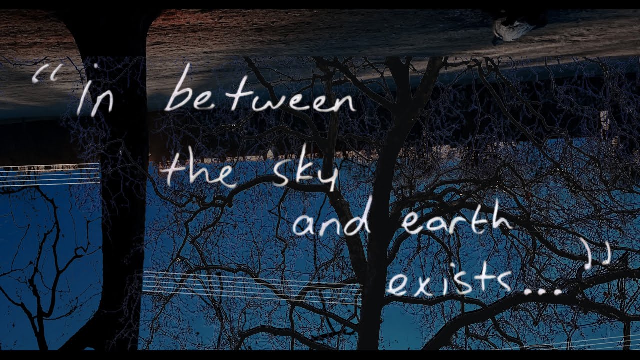 'a scar upon a sapling'  - 'in between the sky and earth exists...' 14/01/26, London.