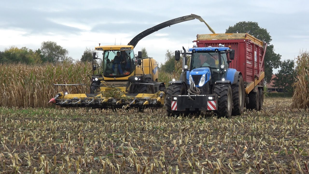 Mais hakselen met New Holland FR9060 en 4 trekkers door loonbedrijf WG Jansen Eupe (2021)