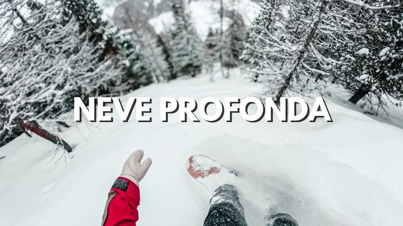 Neve Fresca nei Boschi 🌲 POV Snowboard | Livigno