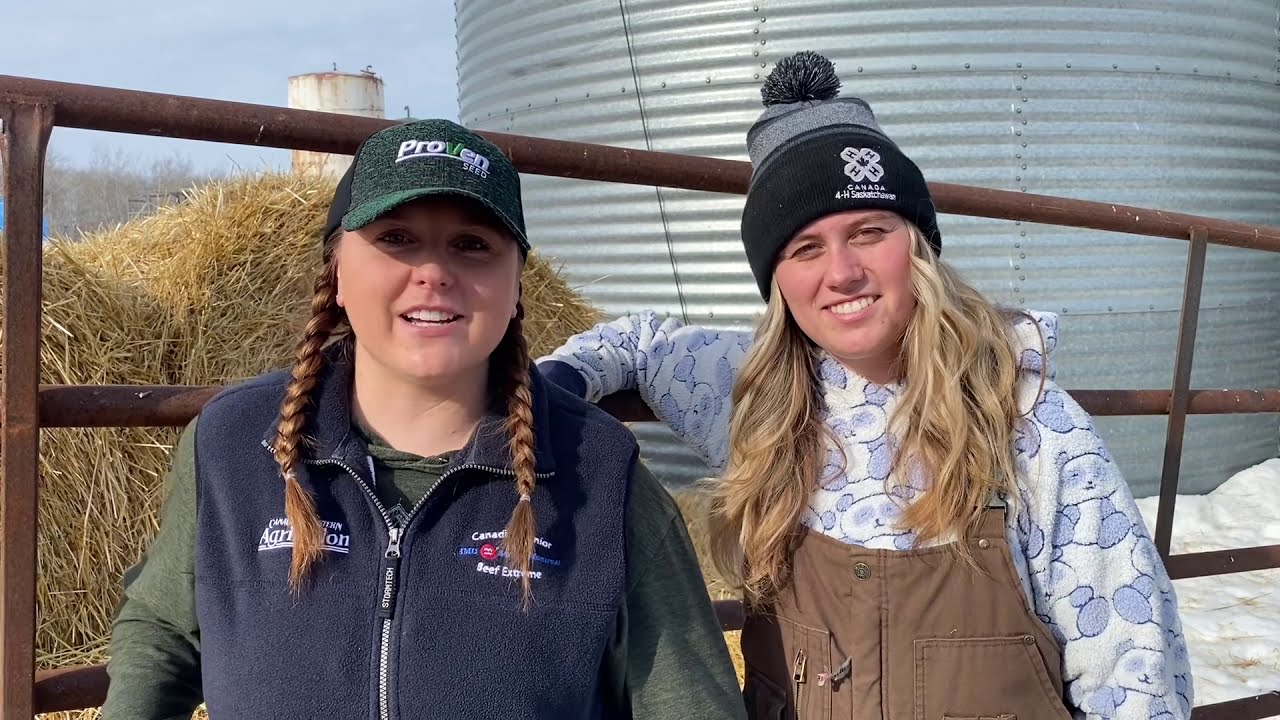 BEEF CATTLE FARM TOUR on Triple H Farm with Morgan and Miranda Heidecker