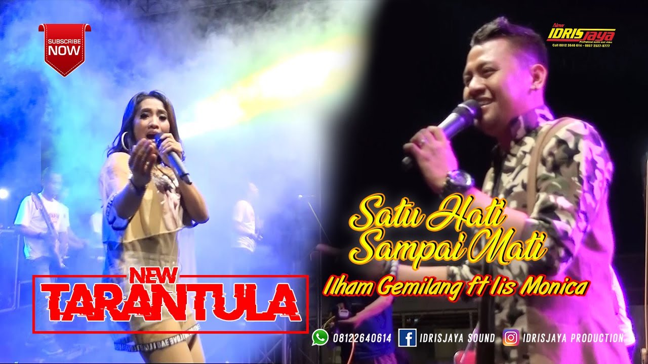 SATU HATI SAMPAI MATI // IIS MONICA ft ILHAM GEMILANG//NEW TARANTULA//IDRISJAYA