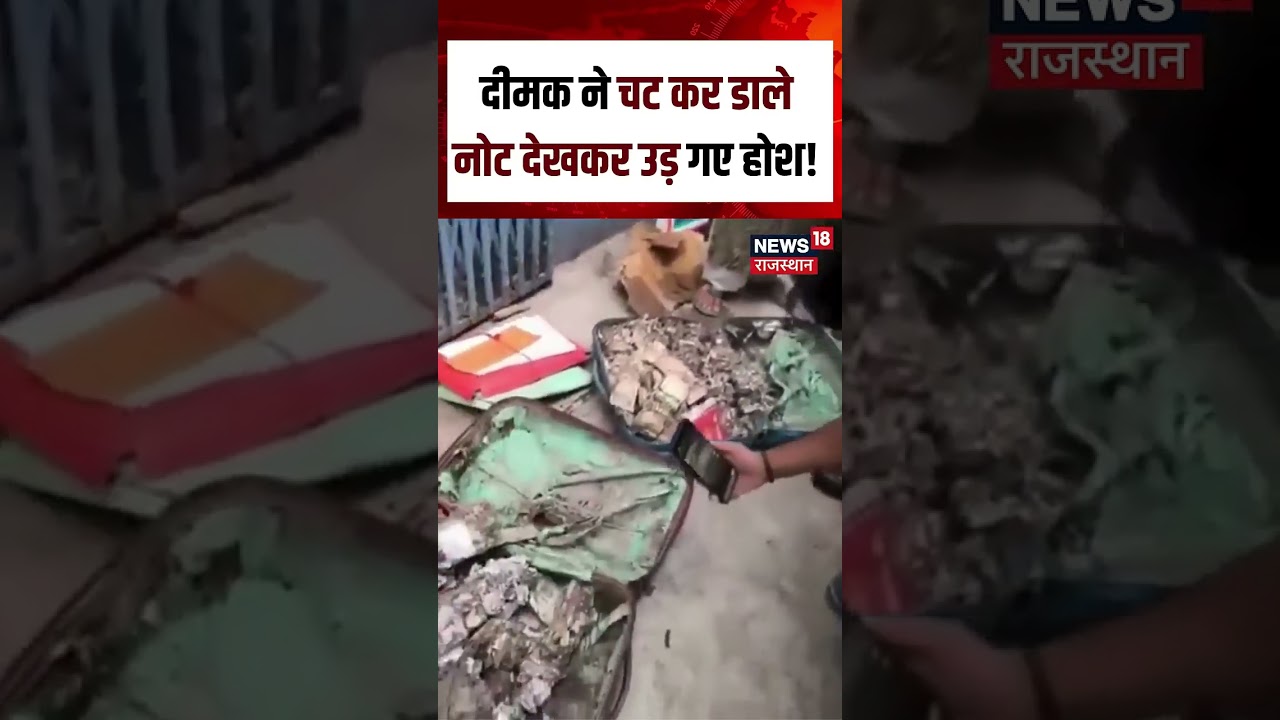 Viral Cash Video :दीमक ने चट कर डाले नोट देखकर उड़ गए होश ! | N18S | Viral | Cash | Top News |