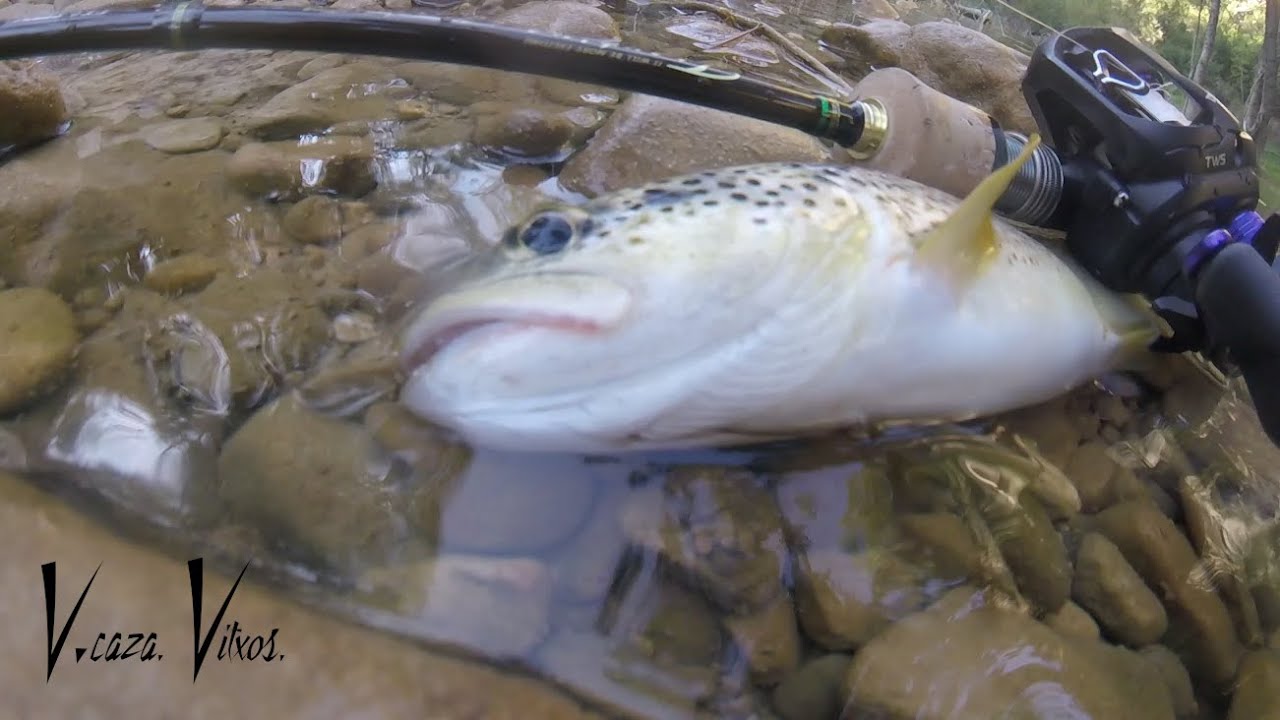 Nuevo equipo y nueva técnica, pescando truchas como los japoneses.