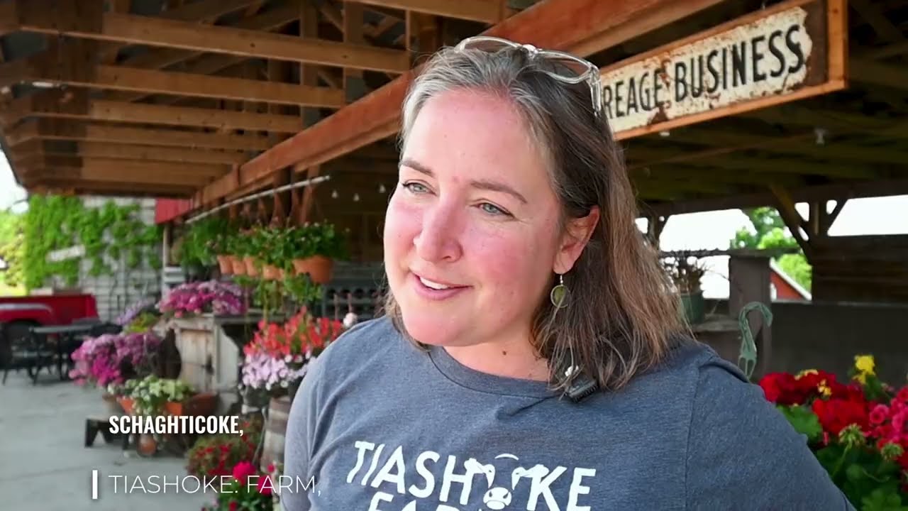 From Farm to Fridge: How Your Favorite Dairy Products are Made
