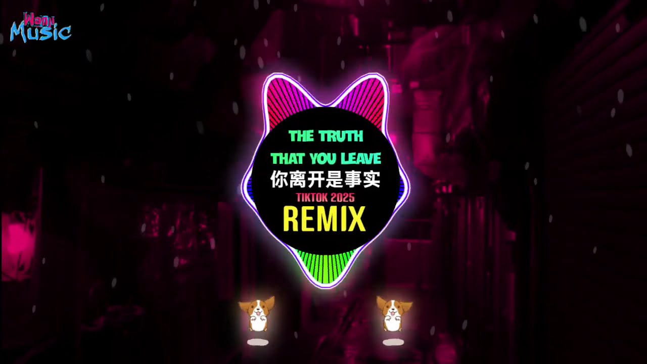 The Truth That You Leave 你离开是事实 (Remix Tiktok 2025 DJ抖音版) || Full Hot Tiktok Douyin