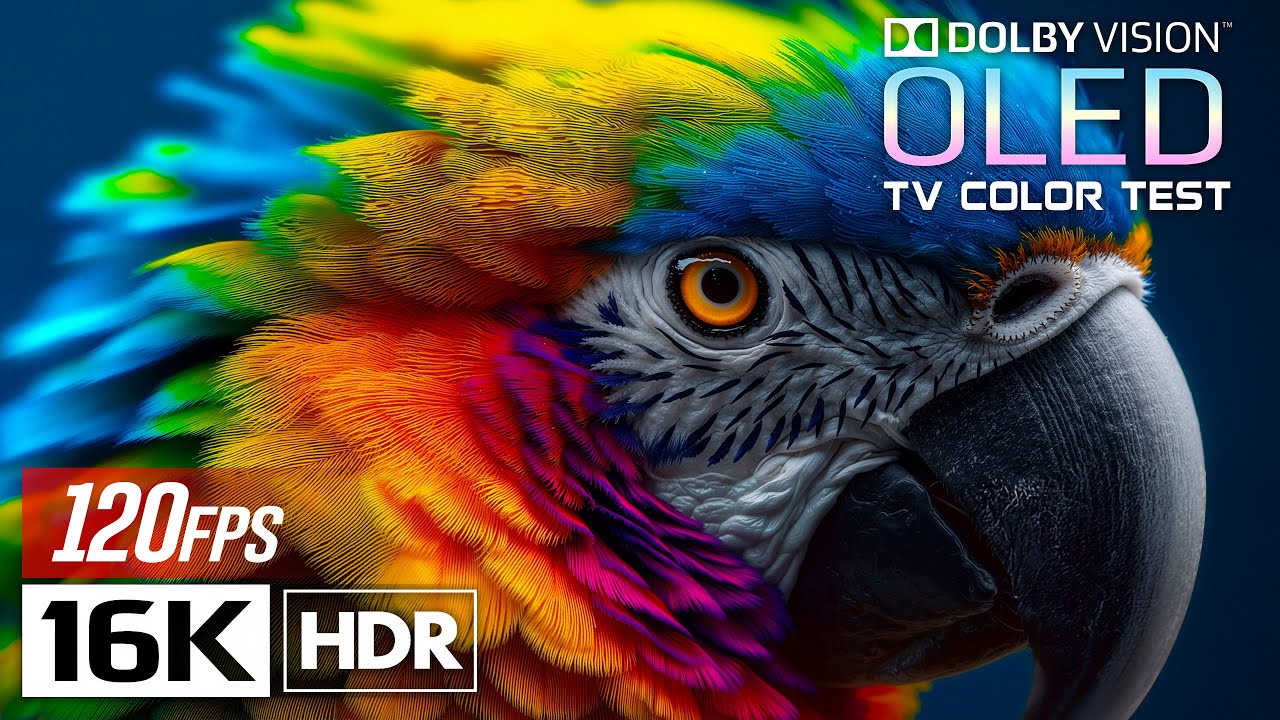 Ultimate 16K HDR Video 120 FPS | Dolby Vision OLED Test Demo