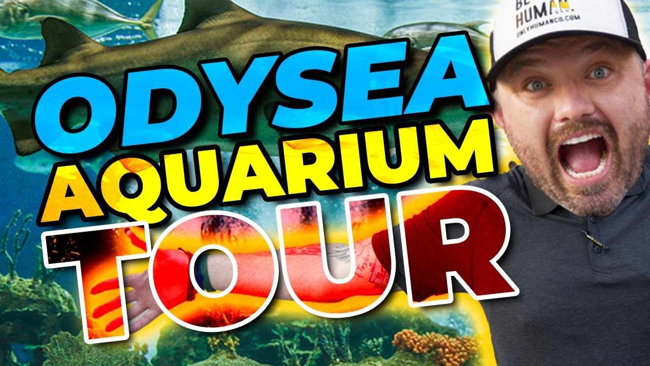 Odysea Aquarium Walk Through. Scottsdale, Arizona 2023.