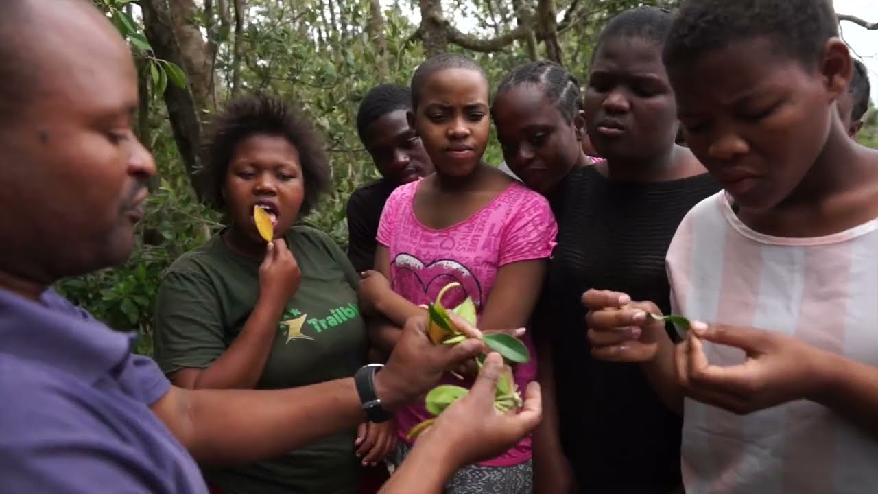 Exxon Twin Streams Wessa V1