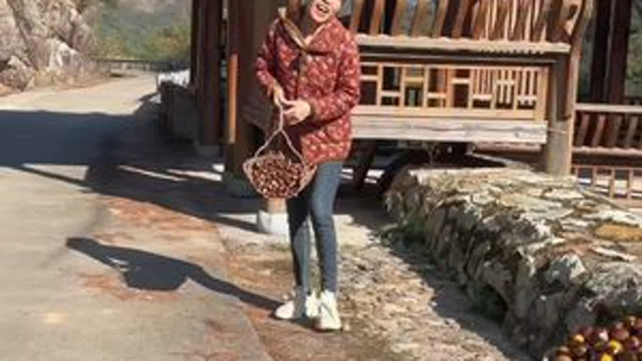 高品质买三斤送二斤丹东新鲜板栗香甜软糯炖鸡熬粥难剥皮非锥栗#栗