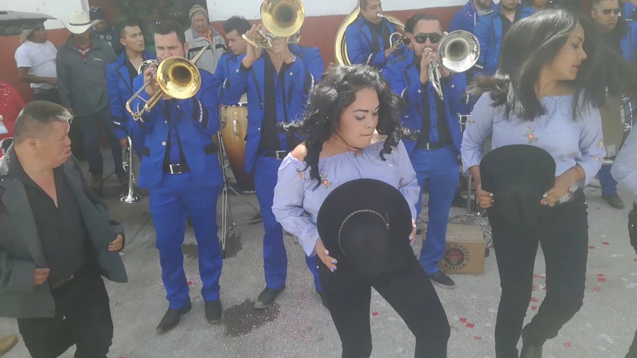 Ordeñando la vaca, banda monarca de Morelia