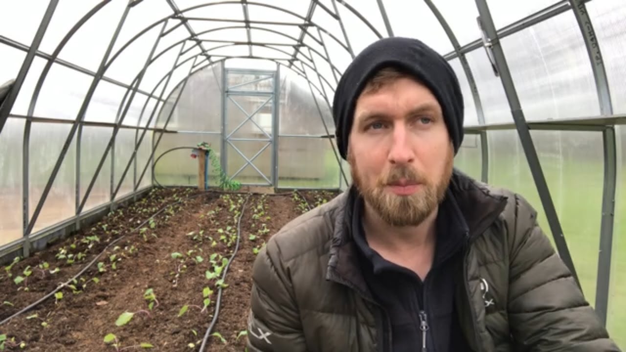VLOG 20 - NYT FRA DRIVHUSENE & UDPLANTNING AF RØDBEDER