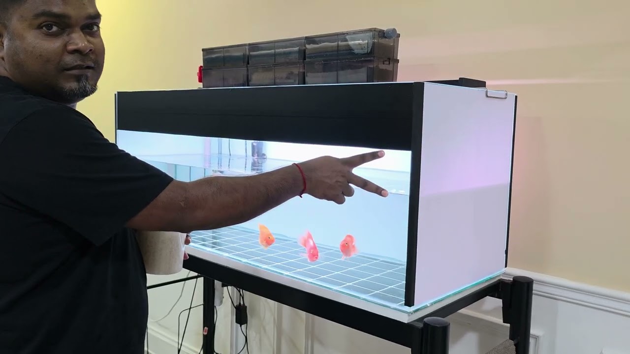 Water change using trickle filter system