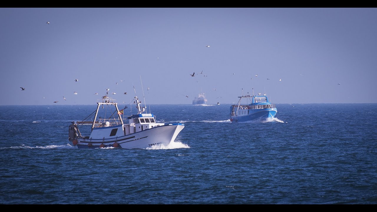 Puerto Pesquero de Santa Pola
