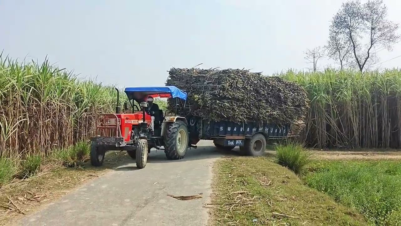 swaraj 855 🚜 ganne ki trolley 😱 🗿 