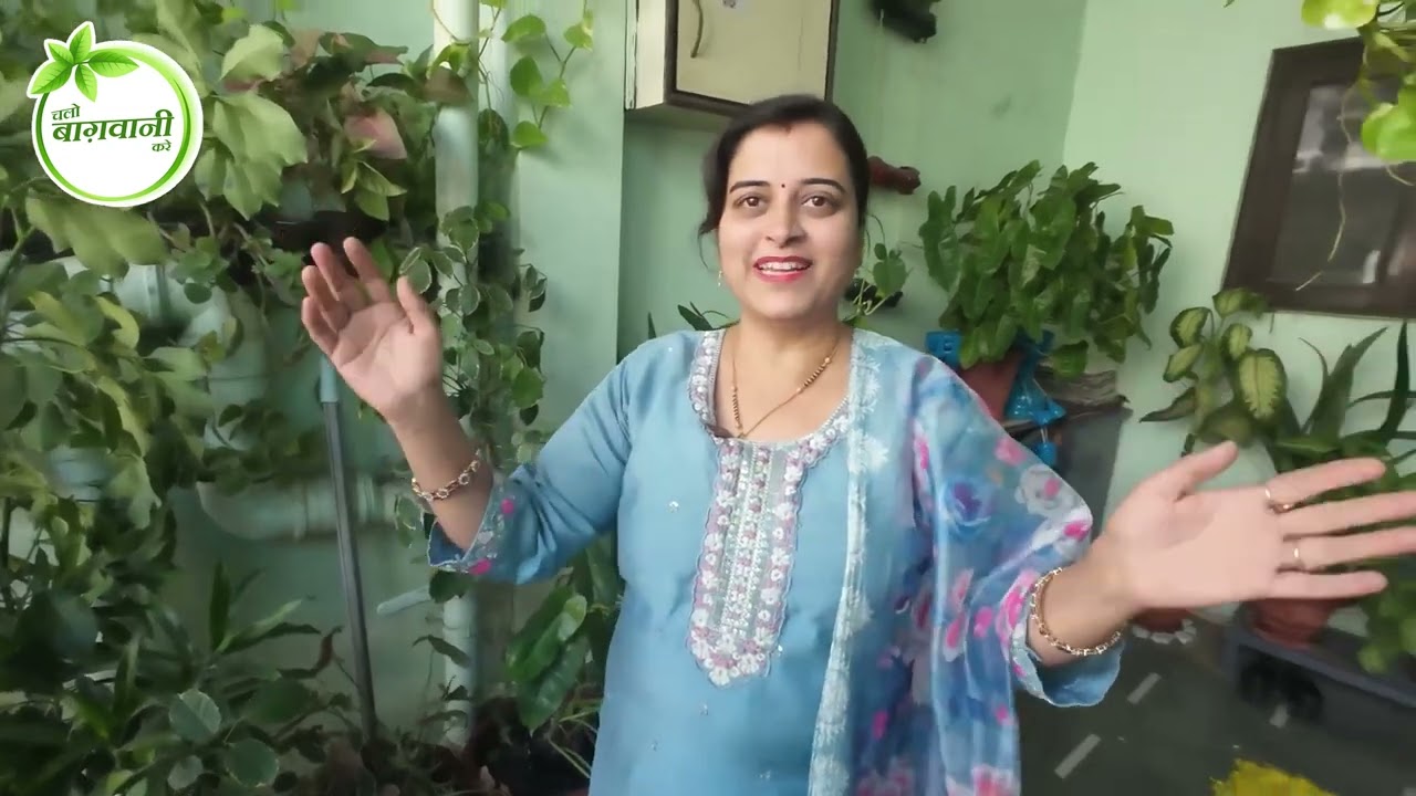 अर्चना जी का पौधे के लिए जूनून आपको हैरान कर देगा 😱🪴घर का कोना कोना किया बागवानी के नाम 👌 EP-38