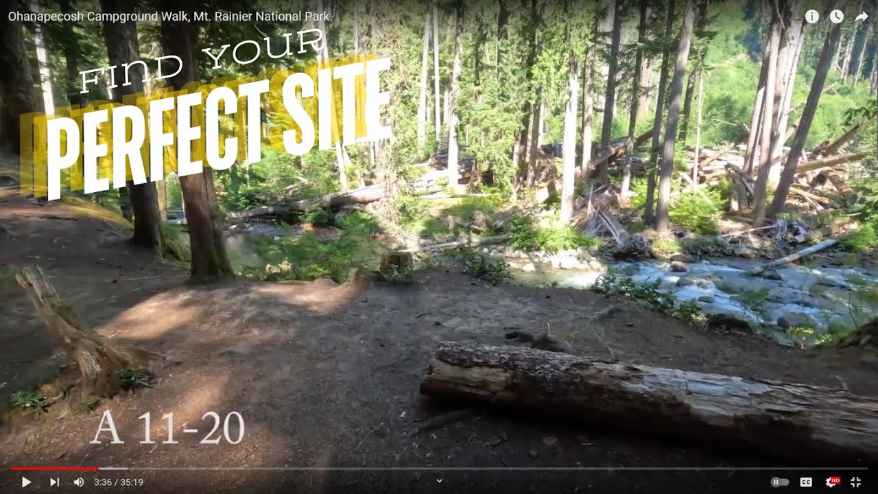 Ohanapecosh Campground Walk, Mt. Rainier National Park