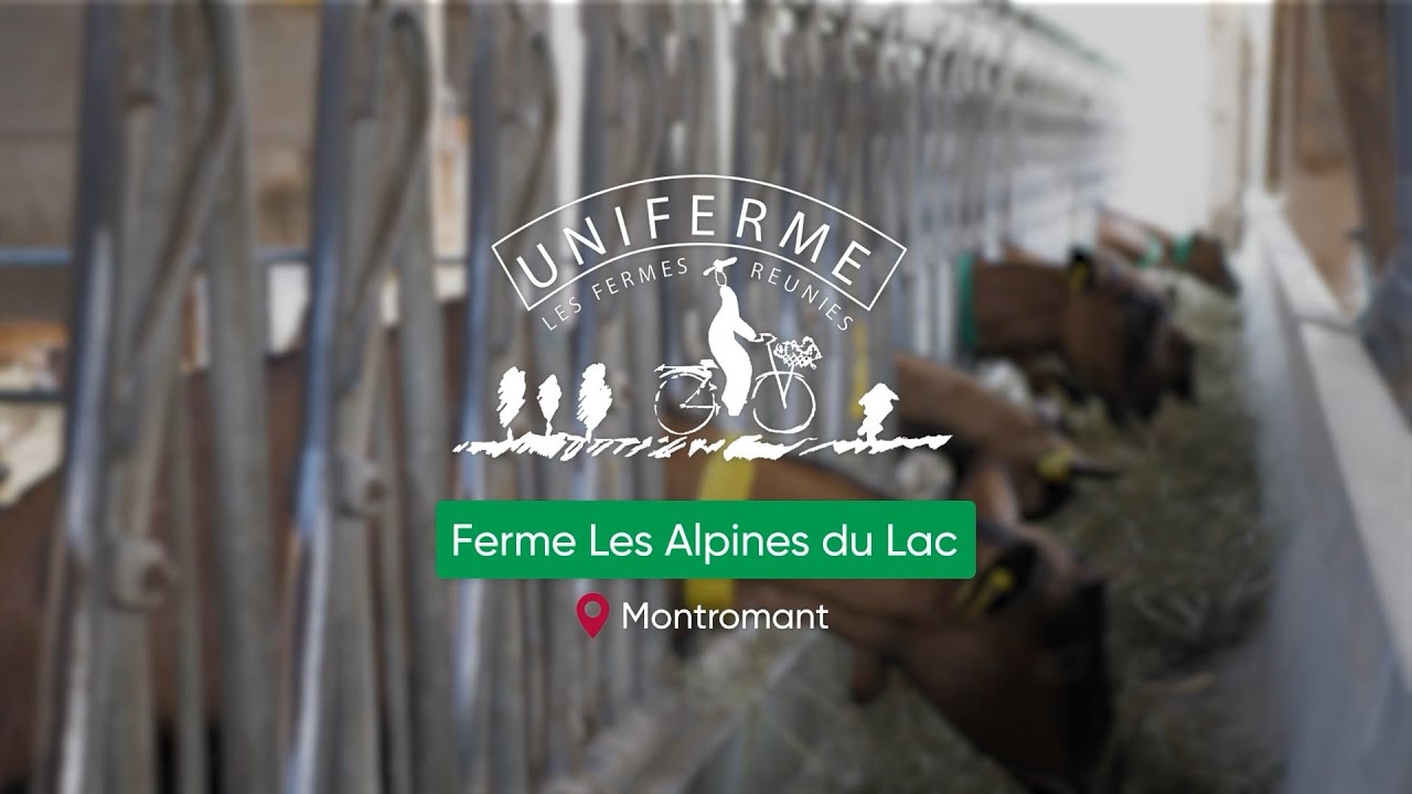 🧀🐐 MONTROMANT - Découverte de la Ferme Les Alpines du Lac nichée près du Lac d'Yzeron