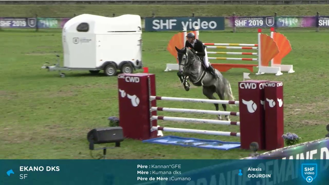 Fontainebleau 2019 - Parcours - EKANO DKS, Champion des 5 ans Mâles & Hongres