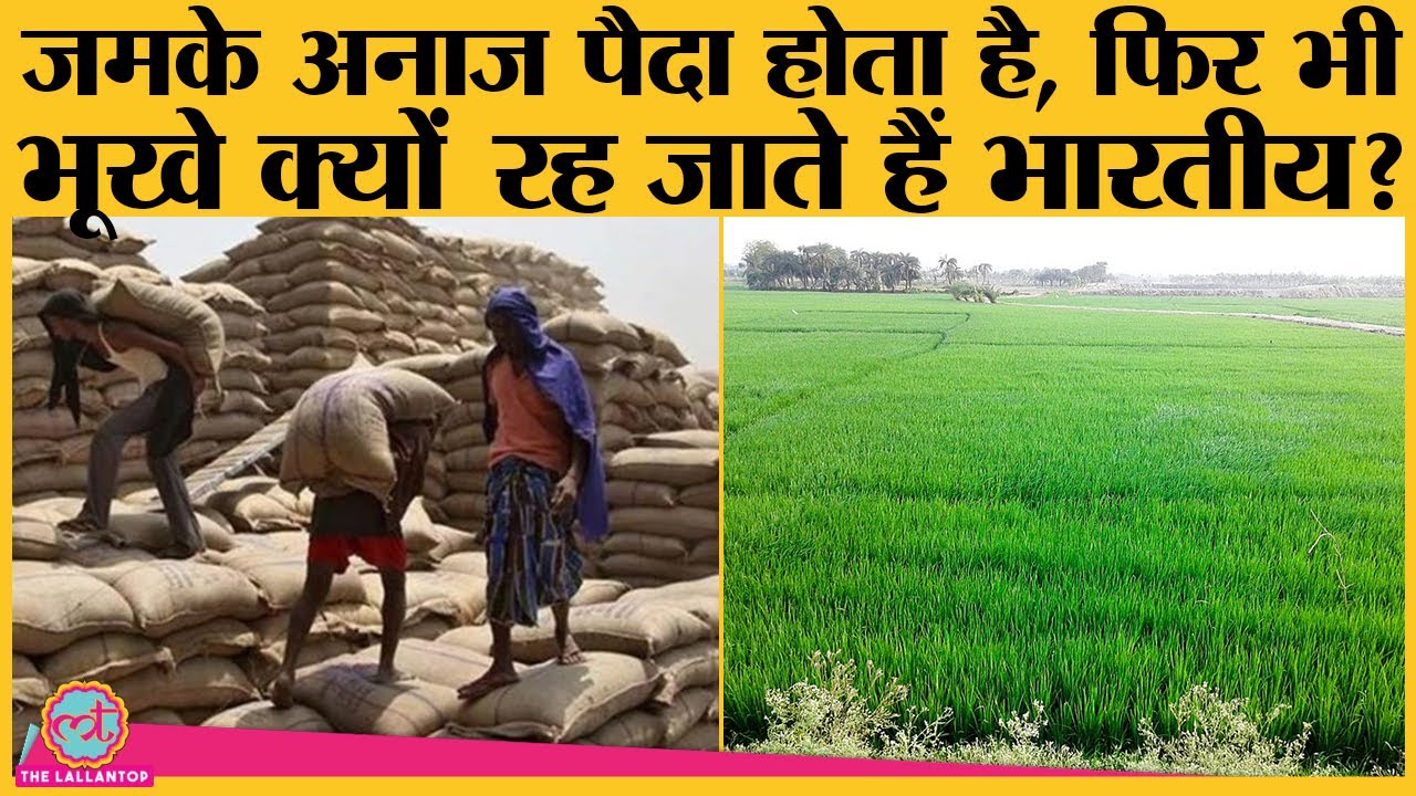 India में crop production और food wastage के ये stats देख आप भी माथा पकड़ लेंगे
