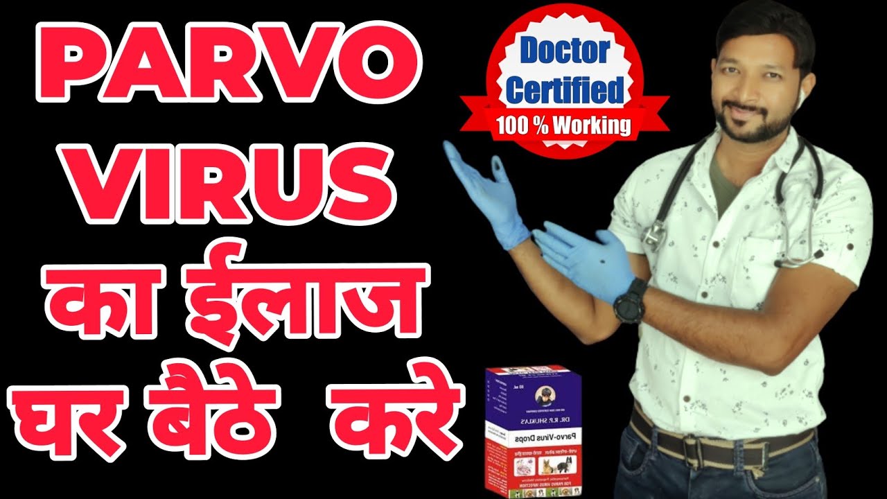 Parvovirus | Gastro | Treatment | at  Home In Hindi | For Dogs | Puppies, पार्वो वायरस का ईलाज Signs