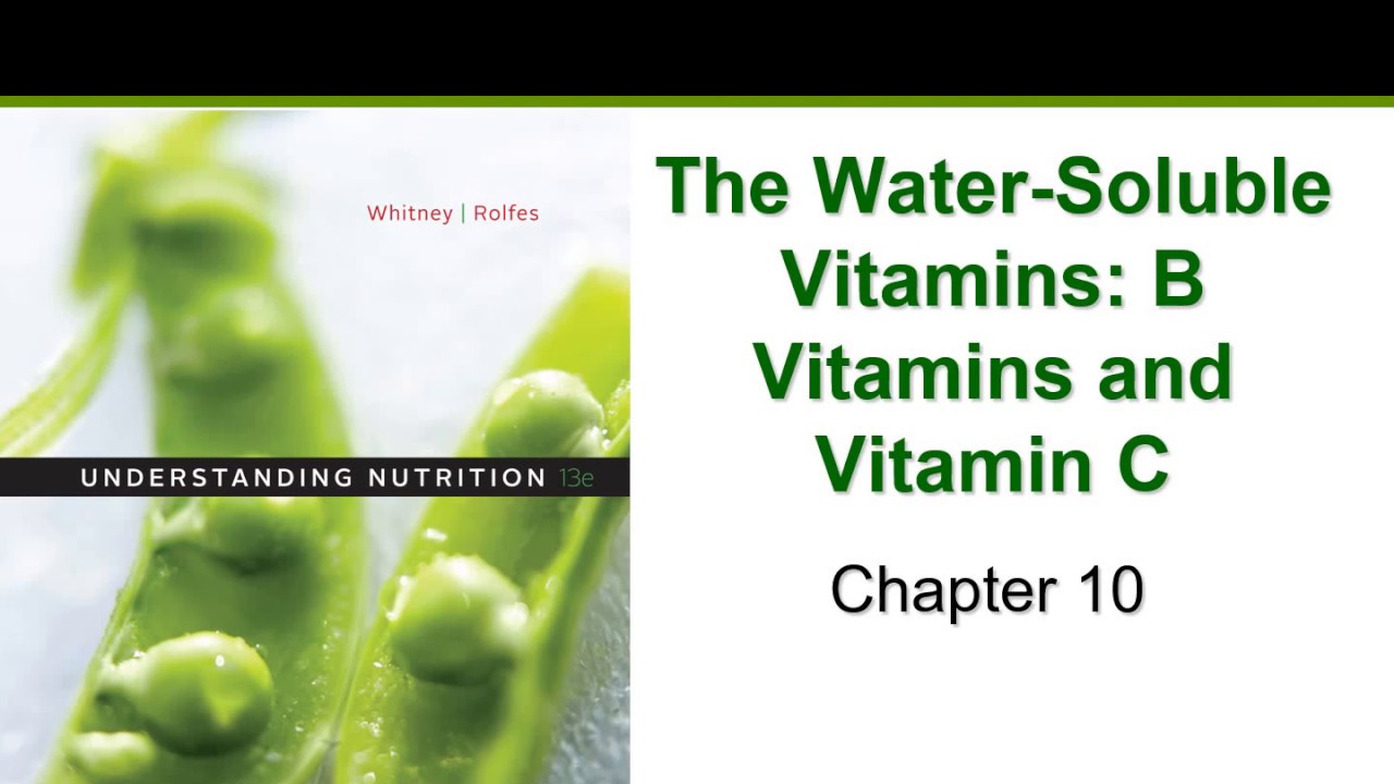 The Water Soluble Vitamins (Chapter 10)