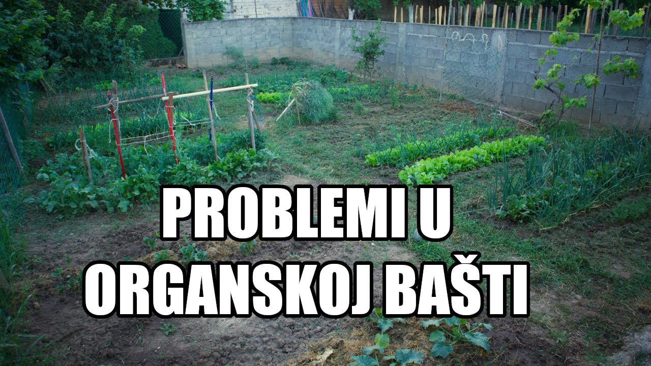 PROBLEMI U BAŠTI - kako ih rešiti?