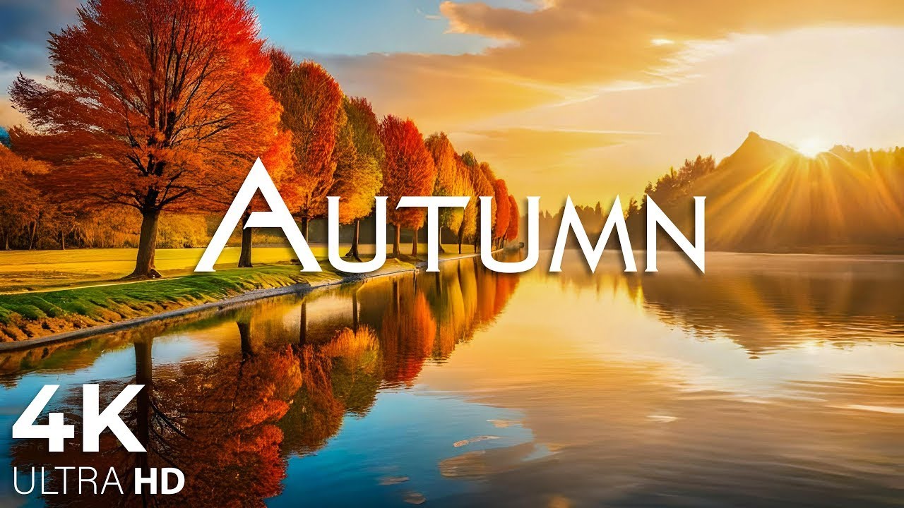 Очаровательные осенние леса под прекрасную фортепианную музыку🍁Осенняя атмосфера 4K
