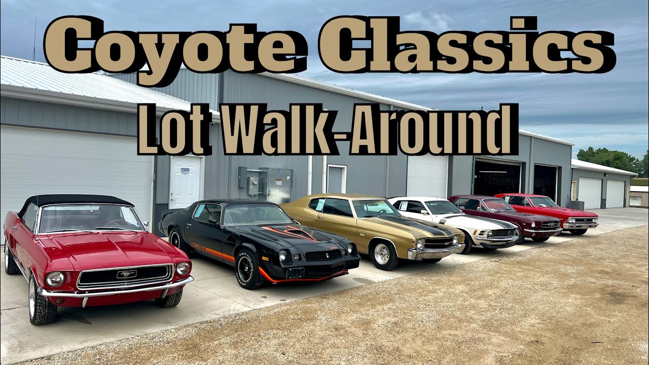 Прогулка по классическим автомобилям! Прогулка по Coyote Classics в среду