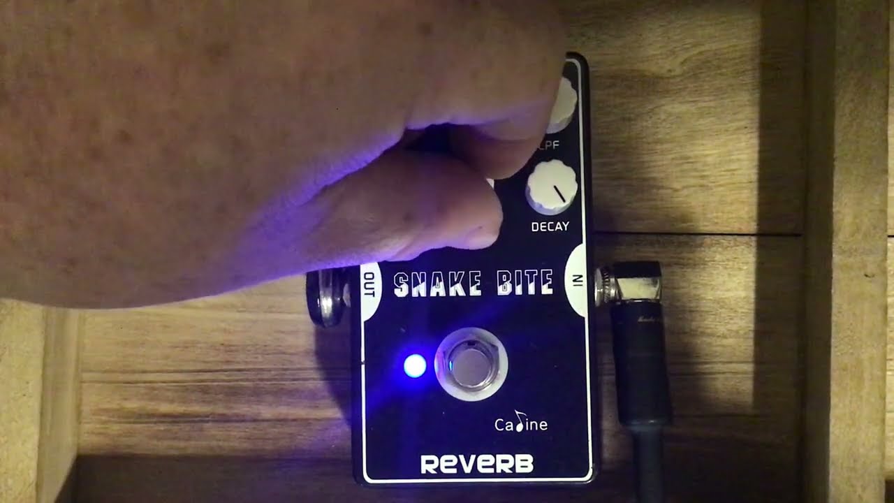 CALINE SNAKE BITE REVERB AN EQD AFTERNEATH???