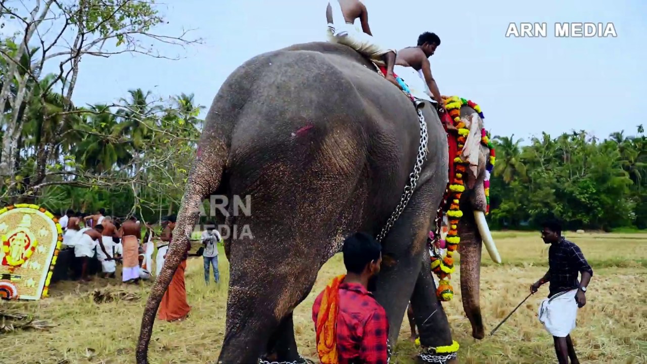 Thechikottukavu Ramachandran Chittanjoor Kavilakkad