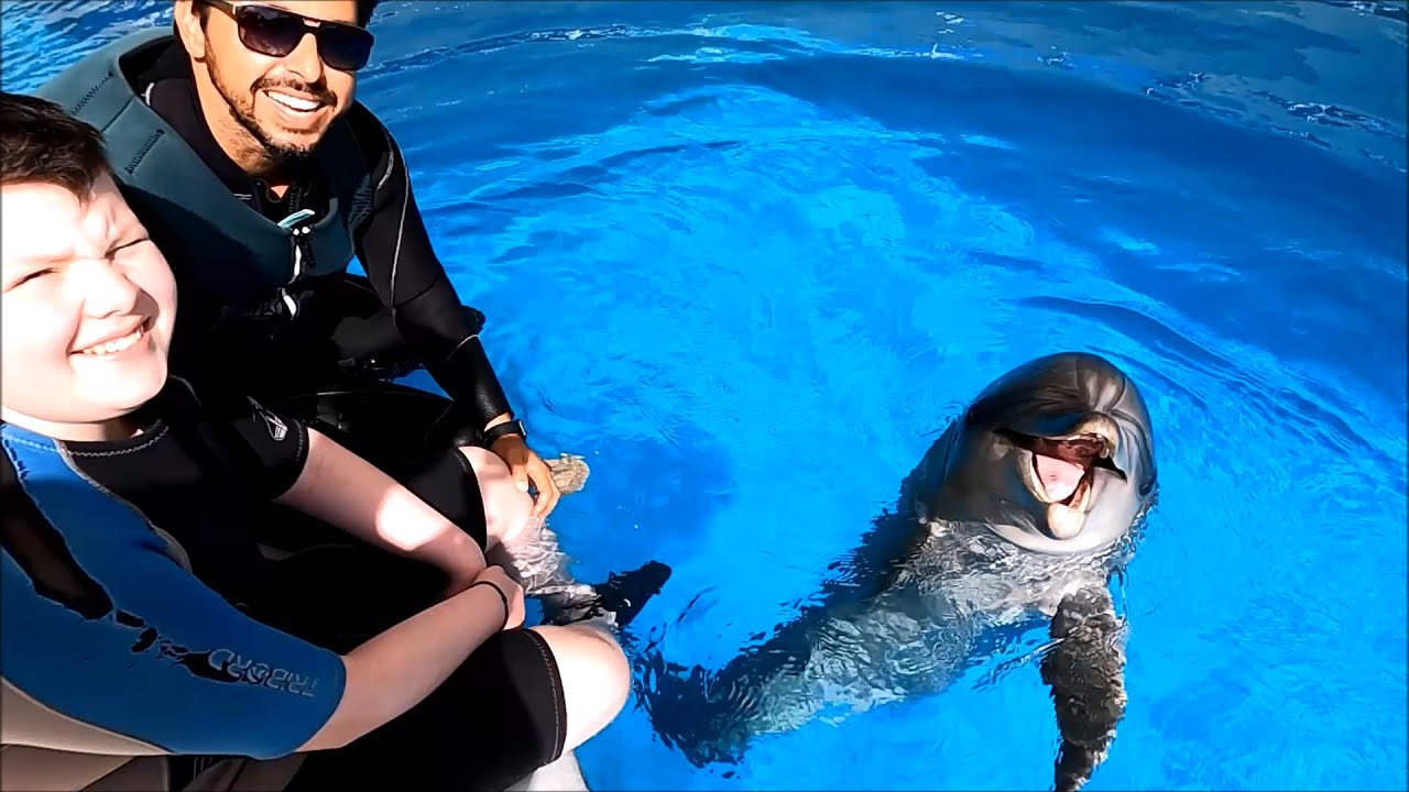 Dolphin Therapy Turkey ( Joosep )