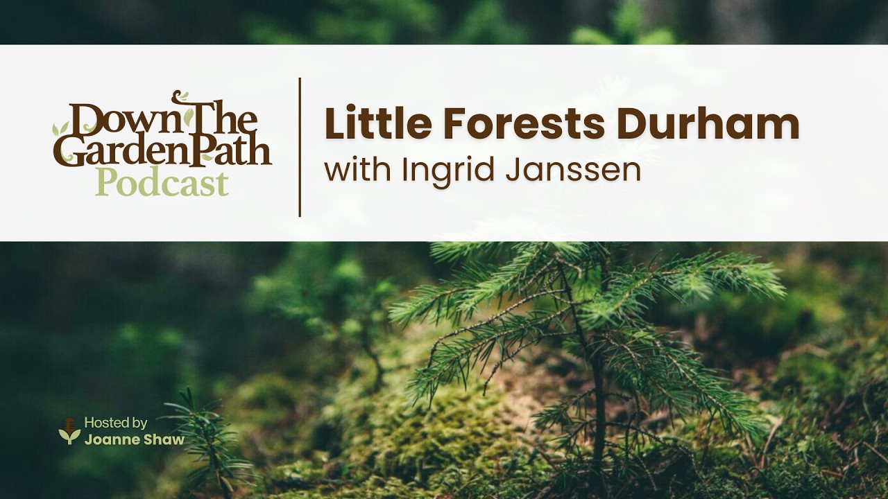 Little Forests Durham with Ingrid Janssen
