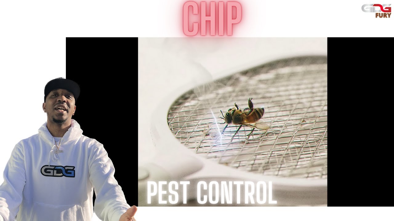 Реакция американцев на CHIP - средство борьбы с вредителями (визуализатор)