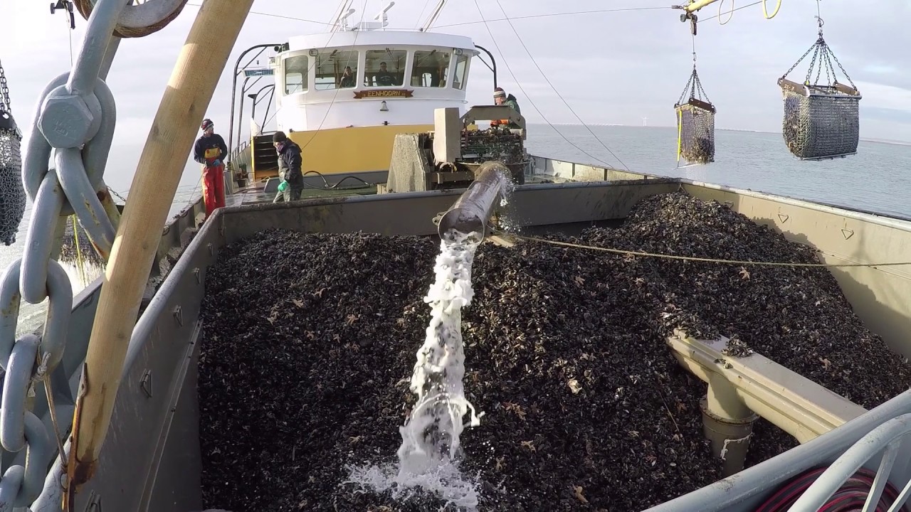 Mee met een mosselboot de Oosterschelde op
