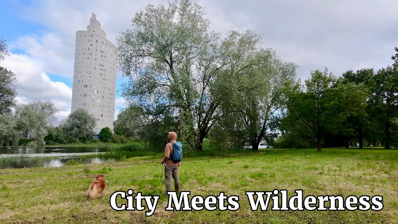 I Didn&rsquo;t Expect This in Estonia &ndash; Nature, City & Peace in One Walk