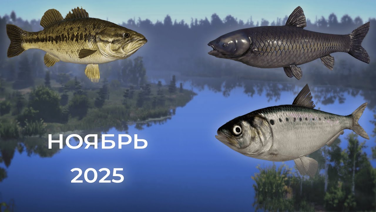Трофеи Ноябрь 2025 | Русская рыбалка 4
