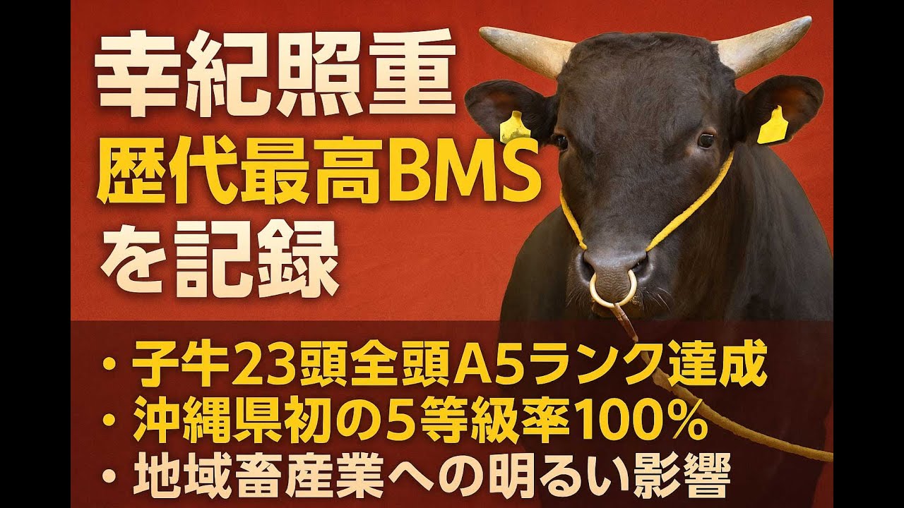 🐮 黒島から快挙！幸紀照重が沖縄初のA5ランク率100％達成【Tamayose Farm / Kōkishōjū Heavy】