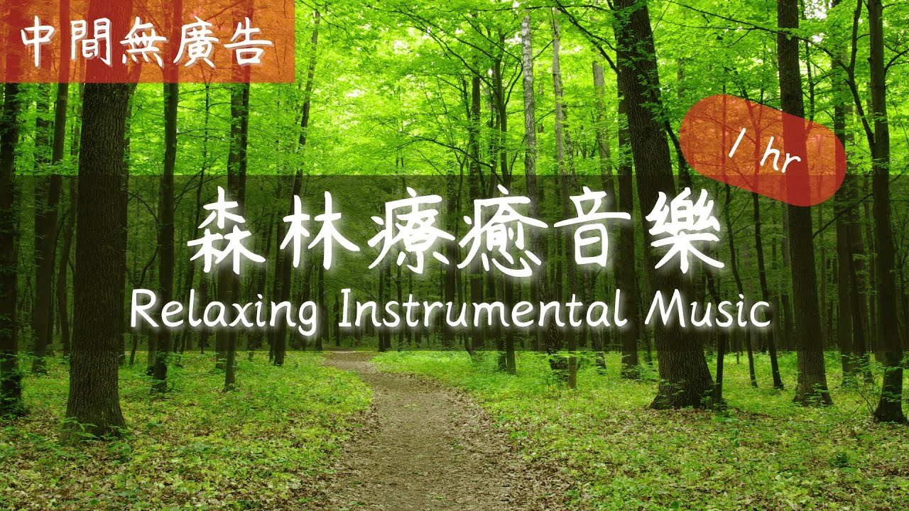 【無廣告】適合早晨的音樂,清脆的鳥叫聲,放鬆音樂,鋼琴音樂,療癒音樂,純音樂,輕音樂,早晨音樂