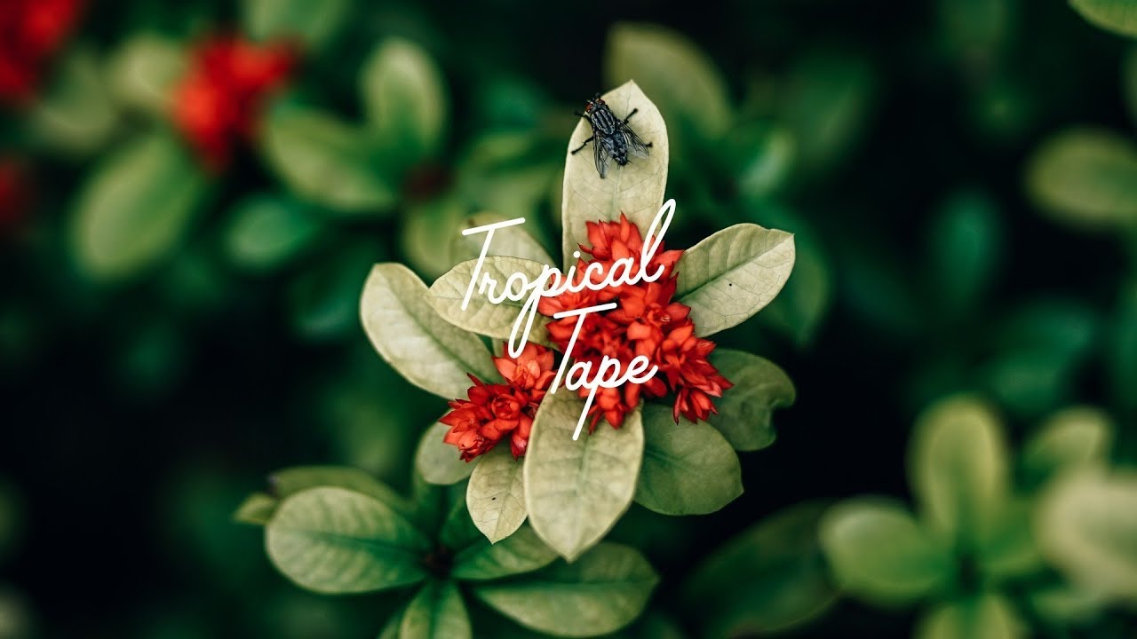 David Mayer - Rampa - Mod (David Mayer Remix)