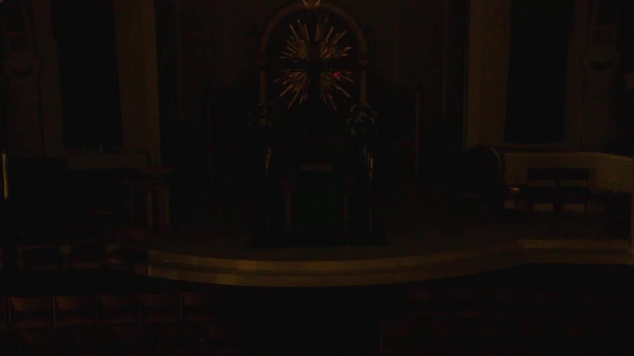 Our Lady of Mt Carmel Herrin Live Stream