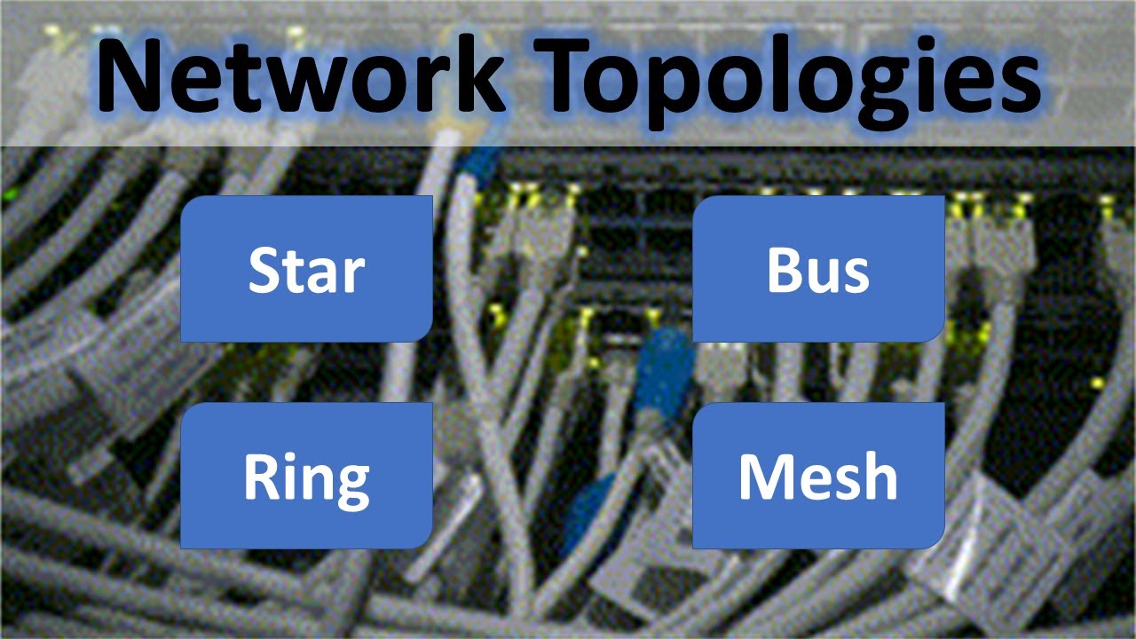 Network topologies - star, bus, ring and mesh!